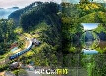 06世界杯贝利看好谁-贝利眼中的2006世界杯，足球传奇的预测与期待