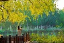 九转昆仑下载手游-云游昆仑金顶，九转手游新纪元